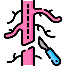 vasular surgery